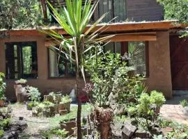 Casa ecologica artesanal