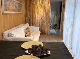 Excellent fully equipped and comfortable house