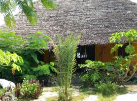 Babu Space 61, Hotel in Bwejuu