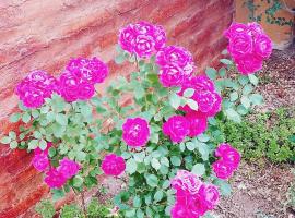 Dpto BBB: Zapala'da bir otel