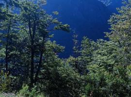 Cabaña Los Cerrillos, hotel en Melipeuco