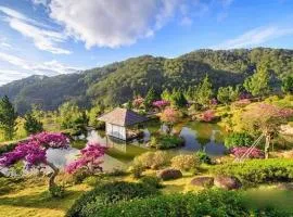 Nhà nguyên căn trung tâm Đà Lạt - Nước nóng mạnh - Check in dễ