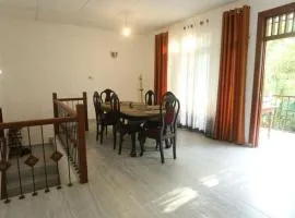 Garden Canopy in the Heart of the City