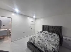 Philips Scott House Calinago