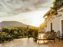 Sipos Borház és Vendégház