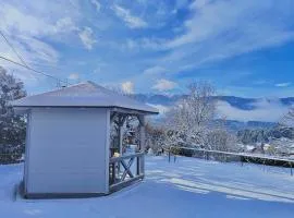EulenNest Seeboden Ruhiges Ferienhaus am Millstätter See mit Garten & Bergblick