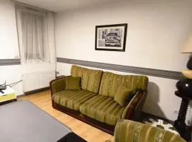 Charmant Appartement à Romilly-sur-Seine avec Jardin