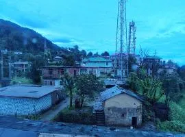 Dhauladhar Mountain Bliss Home Naddi Dharmshala