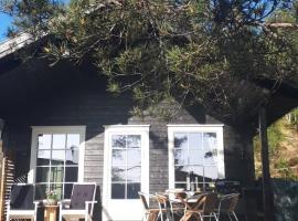 Hyttekos i Telemark: Åmli şehrinde bir otel