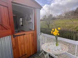 Orchard Shepherds Hut