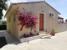 Villa sur Travo , Solenzara