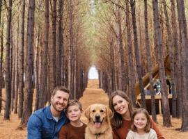 Tedesco Eco Park，舊金山德保的豪華帳蓬