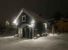 Domek na Blejchu ,domek w centrum Wisły