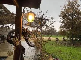 בקתת העץ של מירה ואמיר