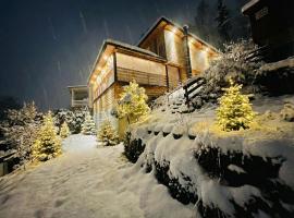 LakeView DomekNaKaszubach, hotel i Parchowo