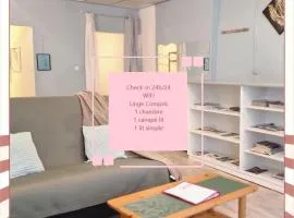 Cœur de ville, T2, rue piétonne, Digne les Bains