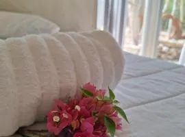 Ecolodge Xocen Birding