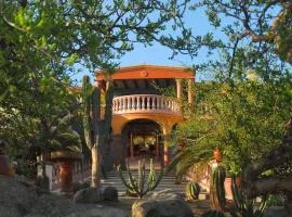 La Valise Los Cabos