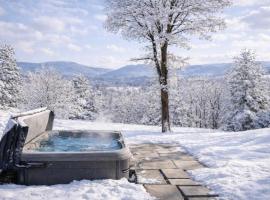 Lxry Est HeatedPool Hottb Views, hotel en Copake