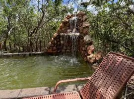 Nomato Cipó Studios