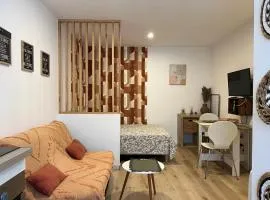 Charmant Studio Narbonnais