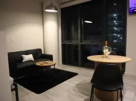 Luxury Studio Near Brickell & Bayside