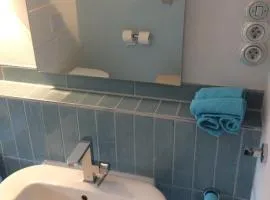 Blaues Zimmer -keine Küche- mit grossem Balkon, Bad ist ein Traum, nur 50 Schritte zum Radweg am Main