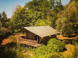 Camping d'artagnan