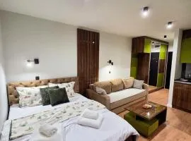 Apartman Mist - Bela reka Brzeće