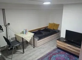 Small, cozy tiny apartment, complete
