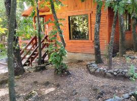 Cabañas Tía Marce, Los Lleuques, отель в городе Ресинто
