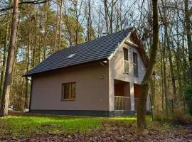 Forest House Buxusson