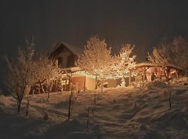 Cuibul cu Trufe, hotel u gradu 'Feldru'