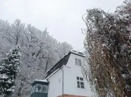 Dom pod Agatową Skałą we Wleniu