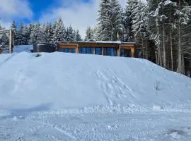 Ținutul Lupilor
