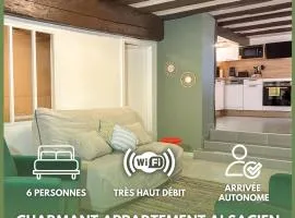 Charmant appartement alsacien au cœur de Rosheim