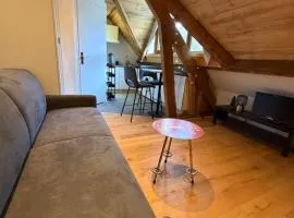 L'écrin du Vercors appartement rénové