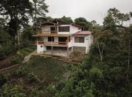 Beautiful house surrounded by nature to relax