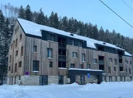 Apartmán Herlíkovice 303