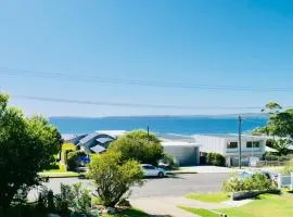 Nautilus at Hyams Beach
