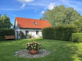 Kembser Kate - Ostholstein - NEU!