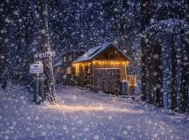 Das Tree Haus by NW Comfy Cabins