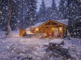 Painted Pony Cabin by NW Comfy Cabins