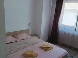 Central Apartment Bacău