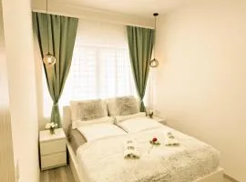 VIBE S31 Apartman ,AC,Free Parking
