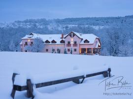 Borhotel Sziluett Farkasmály, hotel en Gyöngyös