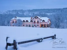 Borhotel Sziluett Farkasmály