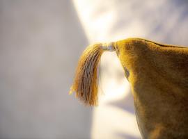 Hotel Zur Feldmühle โรงแรมในอาร์นส์แบร์ก