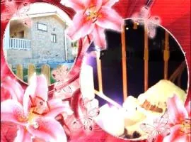 A Casa do Aloumiño da Auga Mondariz VT-PO-00148 y SPA Prexigueiro Obsequio entrada por persona a circuito termal