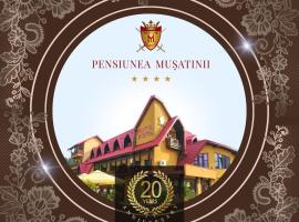 Pensiunea Mușatinii，普特納的飯店